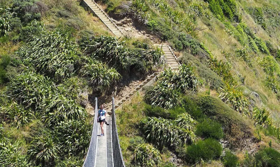 Escarpment Track, Wellington