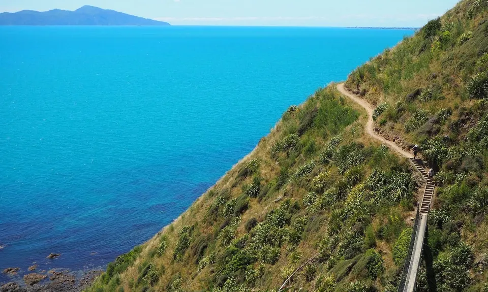 Escarpment Track, Wellington