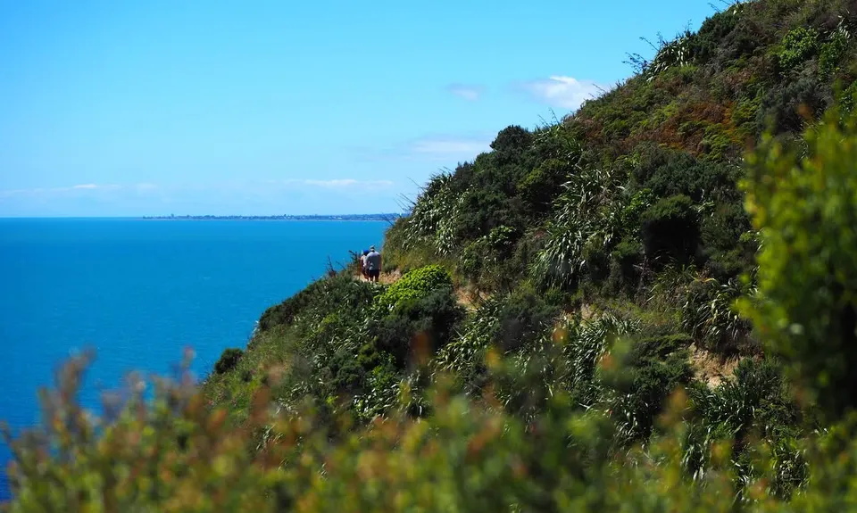Escarpment Track, Wellington