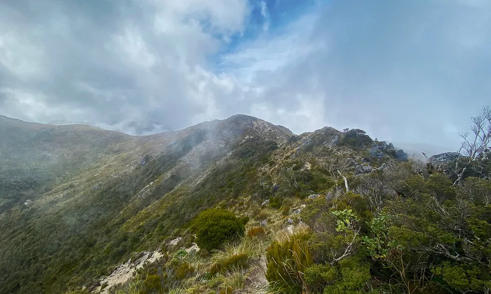 Buckland Peaks, West Coast