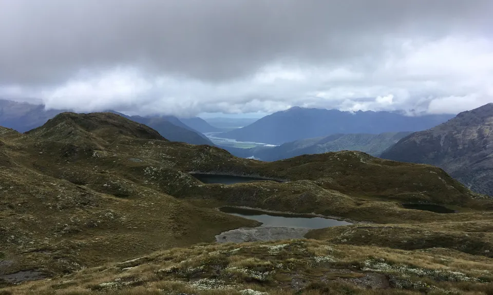 Kelly Tops, West Coast