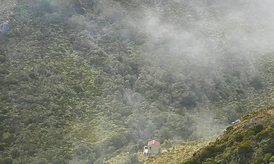 Buckland Peaks, West Coast