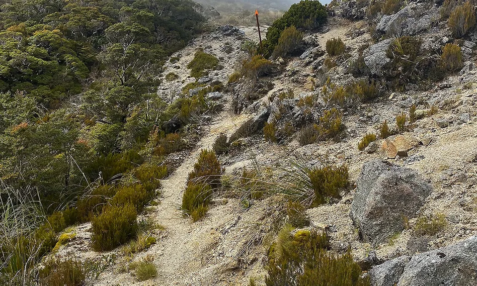Buckland Peaks, West Coast