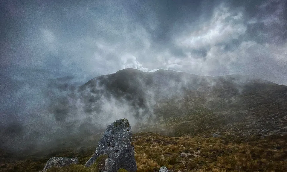 Buckland Peaks, West Coast