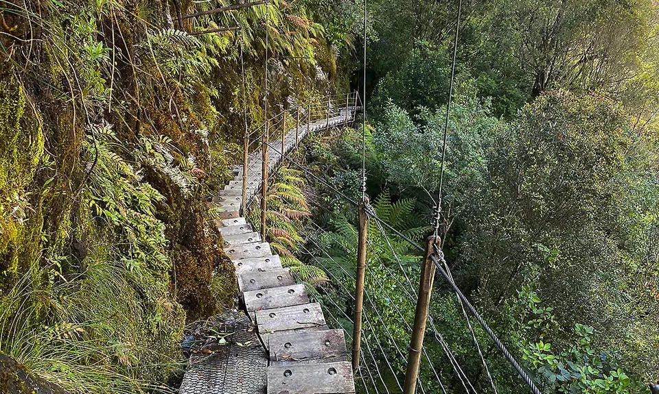 Roberts Point Track, West Coast