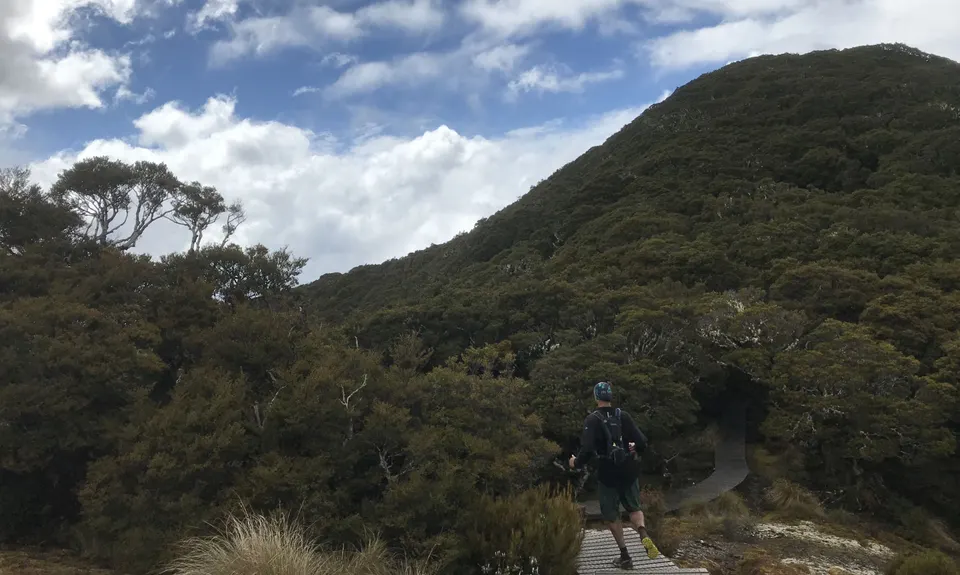 Hump Ridge Track, Southland