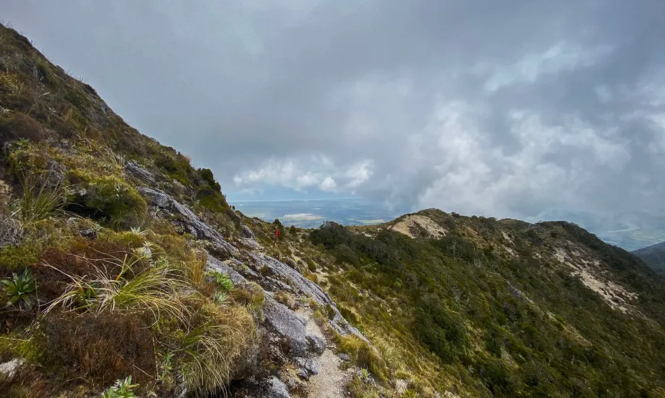 Buckland Peaks, West Coast