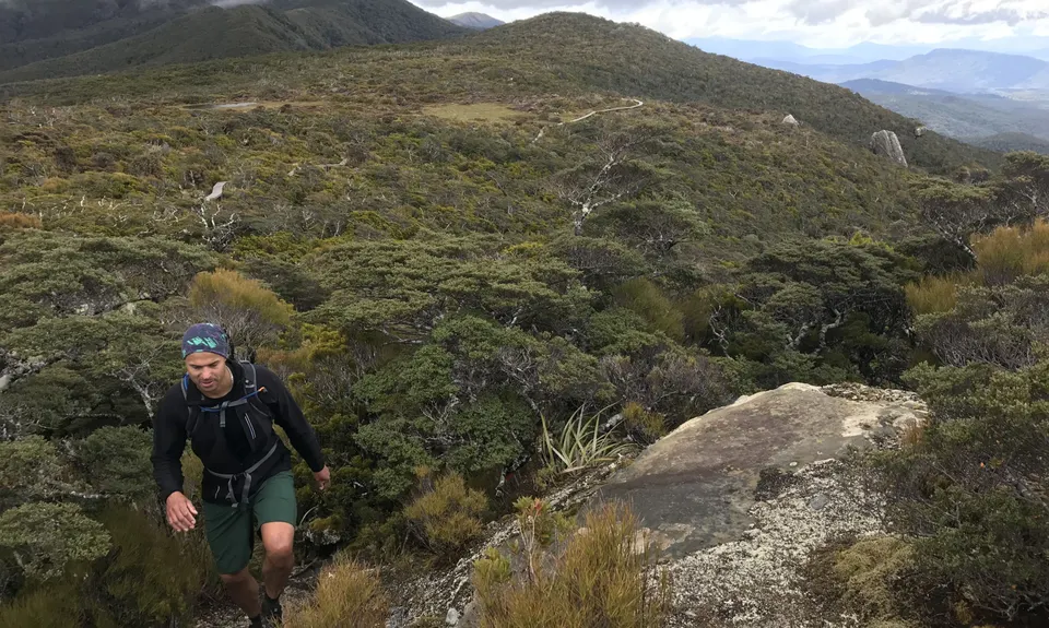Hump Ridge Track, Southland