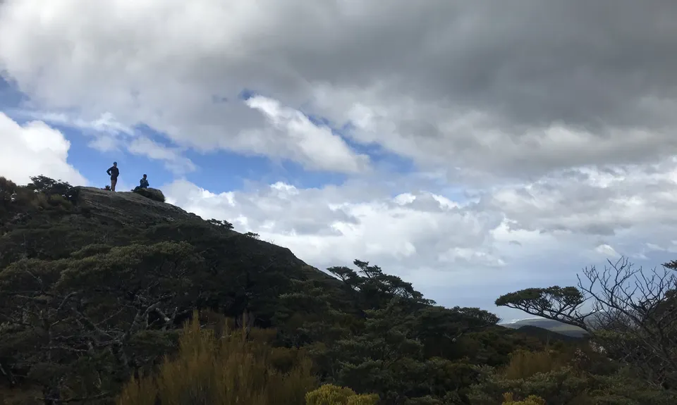 Hump Ridge Track, Southland