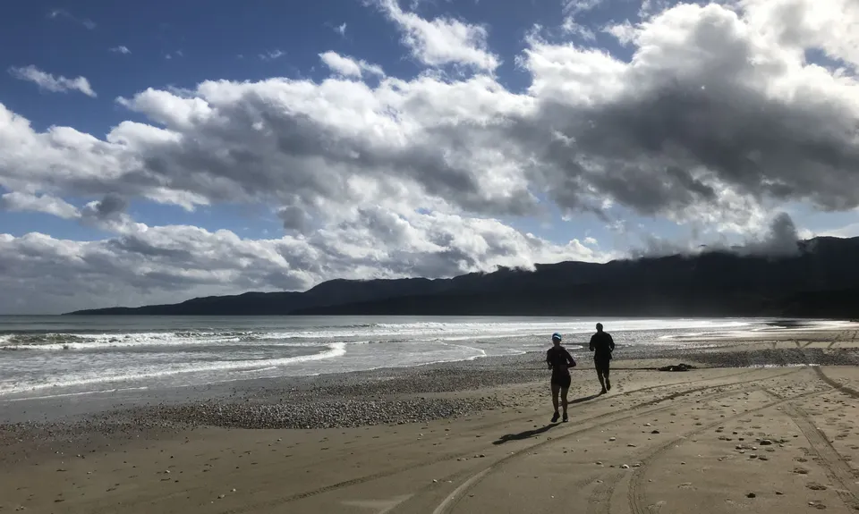 Hump Ridge Track, Southland
