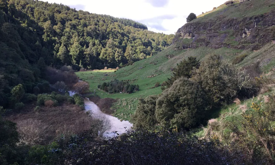 Mangaokewa, Waikato