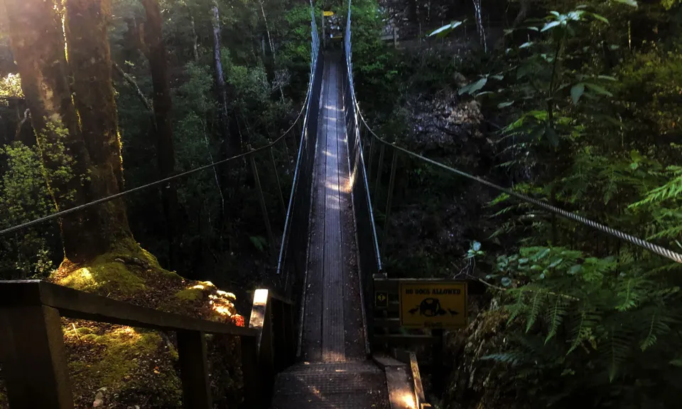 The Old Ghost Road - From Lyell to Stern Valley, West Coast