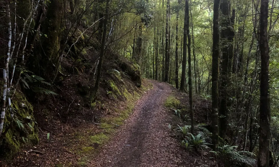 The Old Ghost Road - From Lyell to Stern Valley, West Coast