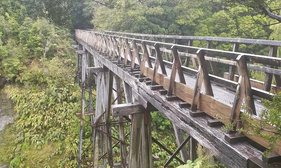 Hump Ridge Track, Southland