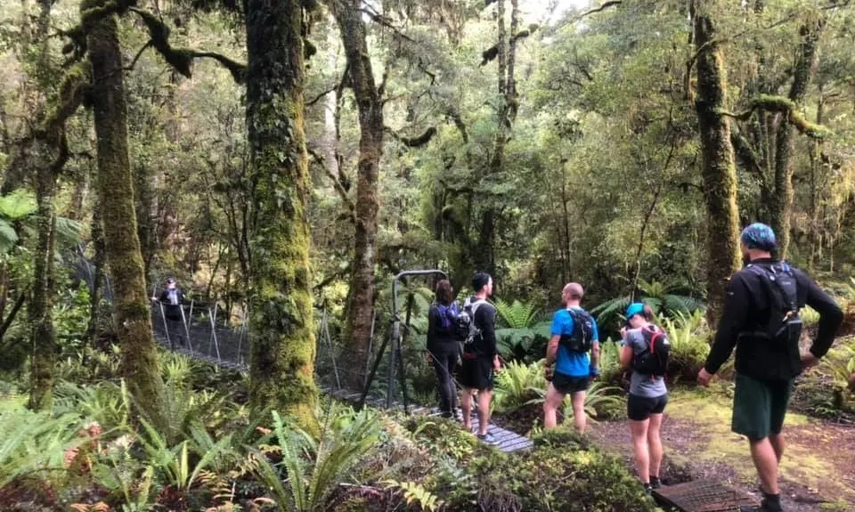 Hump Ridge Track, Southland