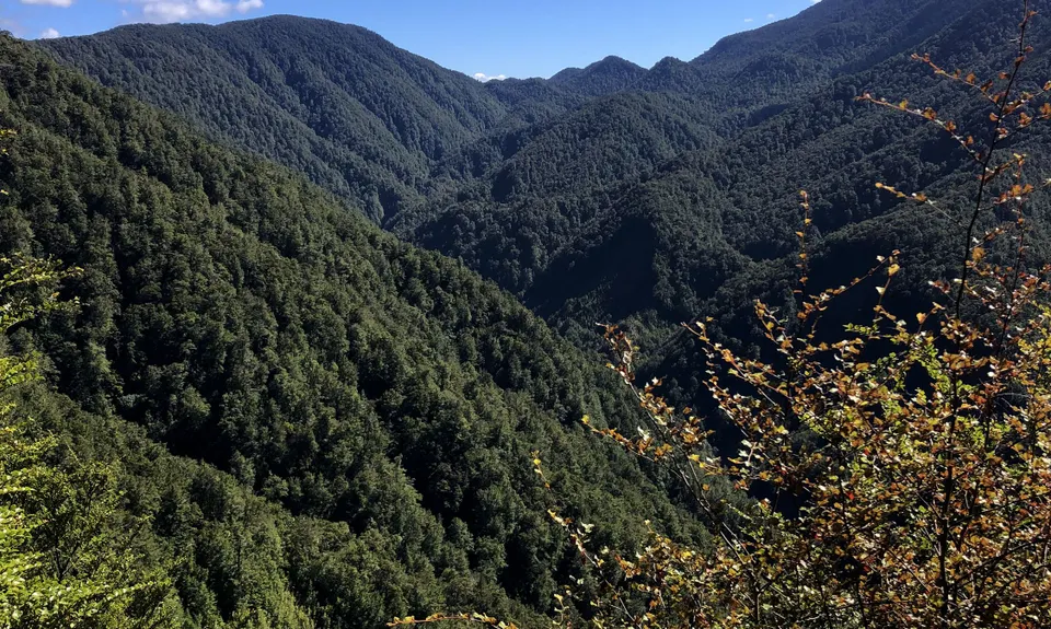 The Old Ghost Road - From Lyell to Stern Valley, West Coast