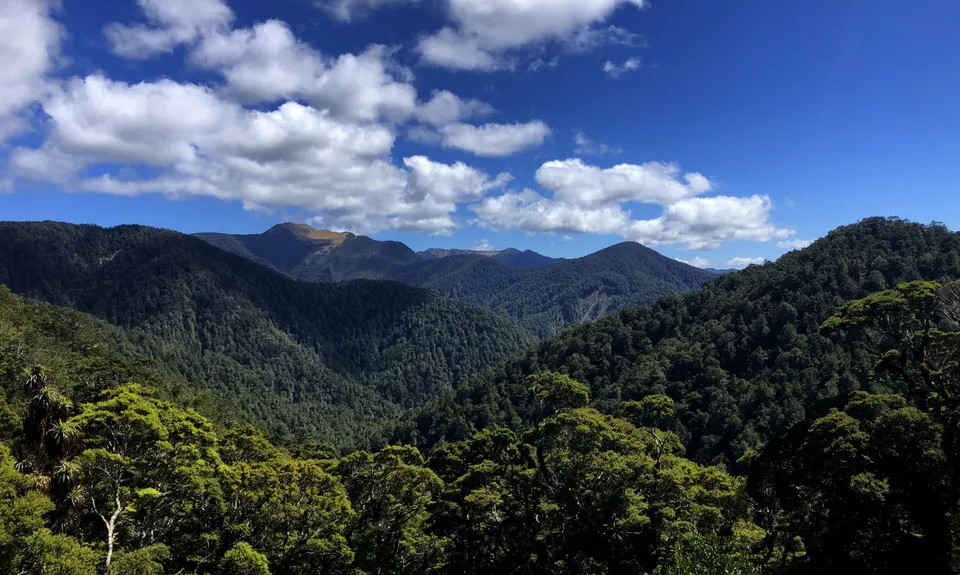 The Old Ghost Road - From Lyell to Stern Valley, West Coast