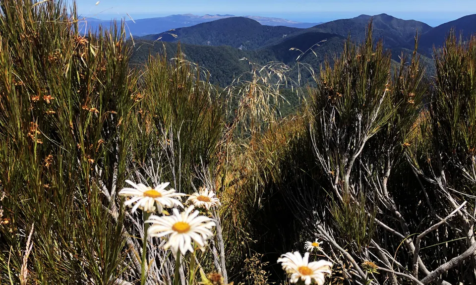 The Old Ghost Road - From Lyell to Stern Valley, West Coast