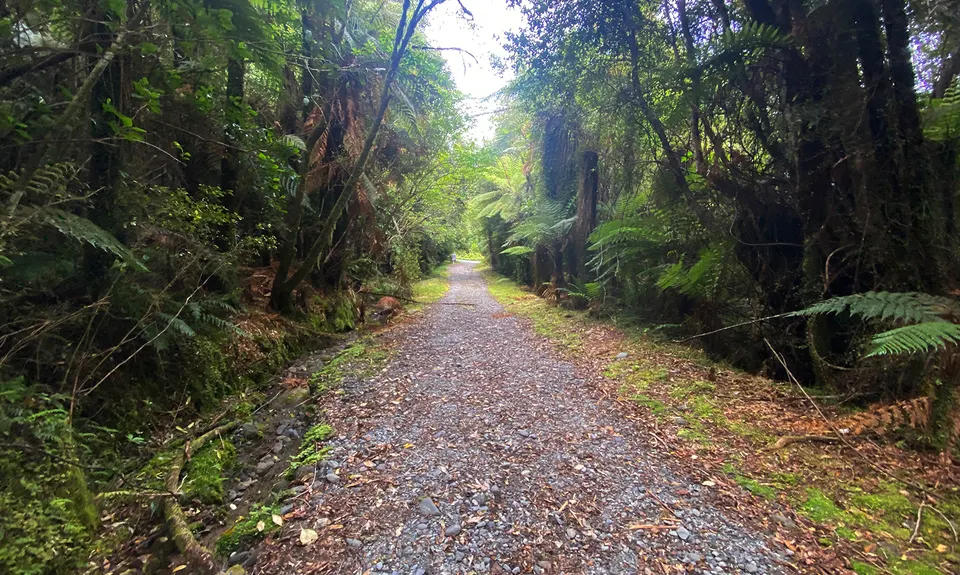 Tartare Tunnel Track, West Coast