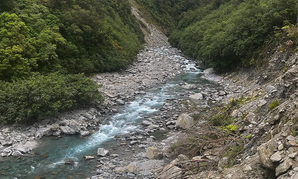 Tartare Tunnel Track, West Coast