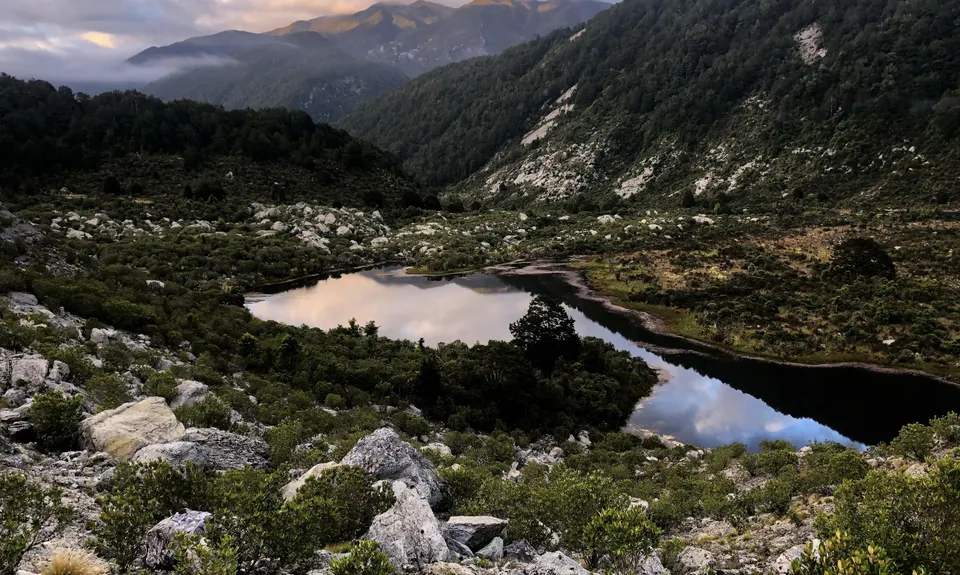 Old Ghost Road - Stern Valley to Seddonville, West Coast