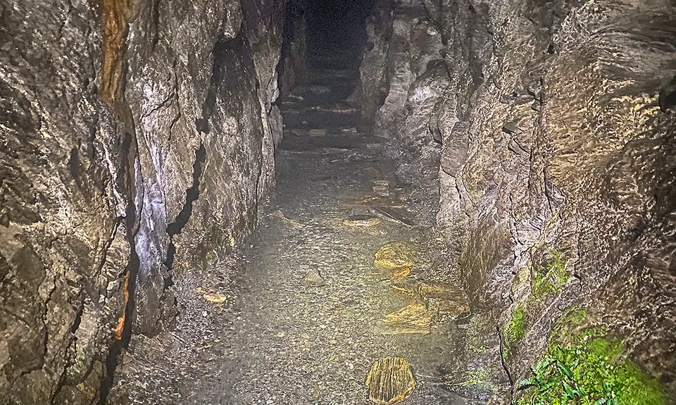 Tartare Tunnel Track, West Coast