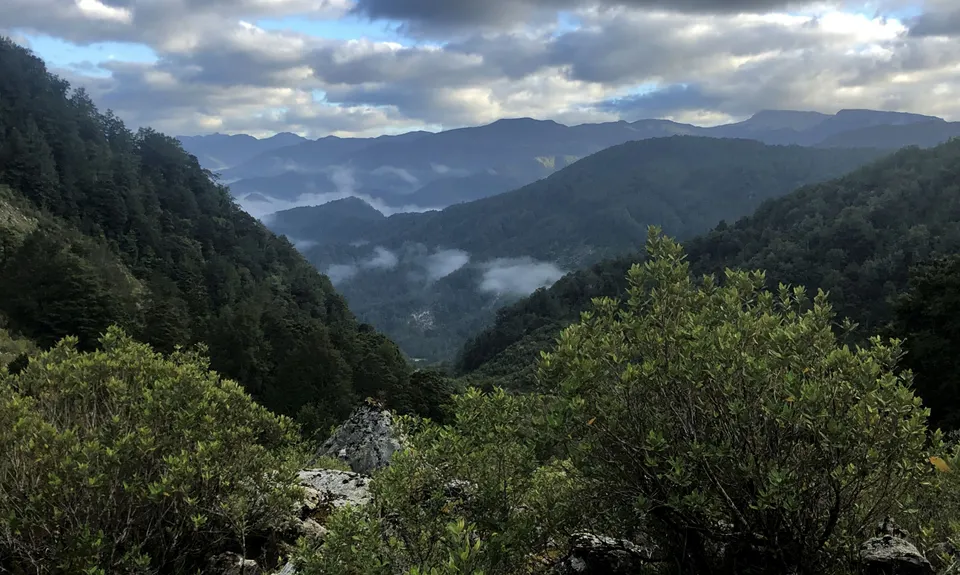 Old Ghost Road - Stern Valley to Seddonville, West Coast