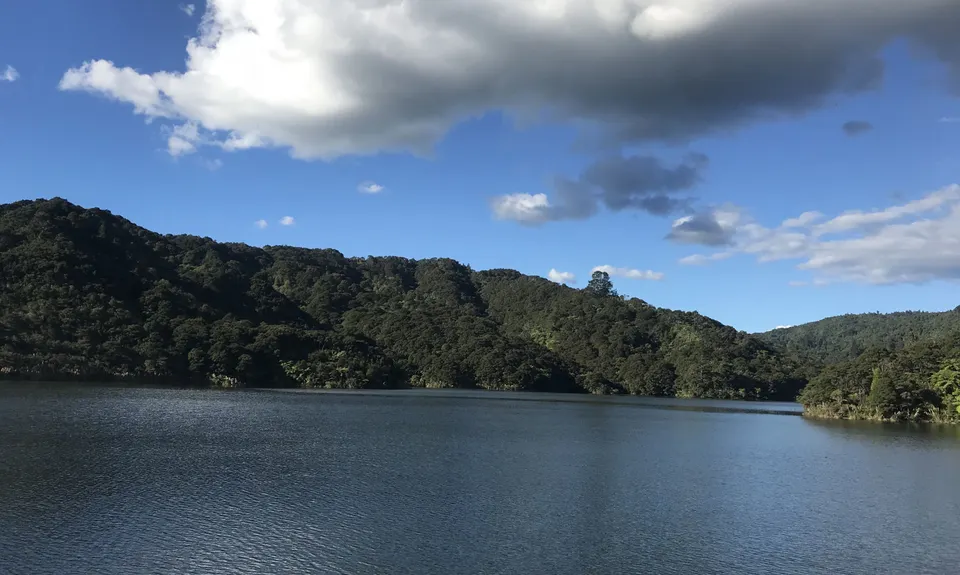 Rata Ridge - Hunua, Auckland