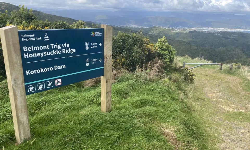 Caribbean Baked Beans , Wellington