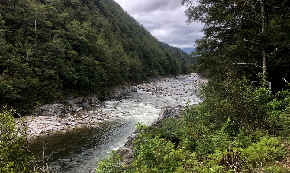 Old Ghost Road - Stern Valley to Seddonville, West Coast