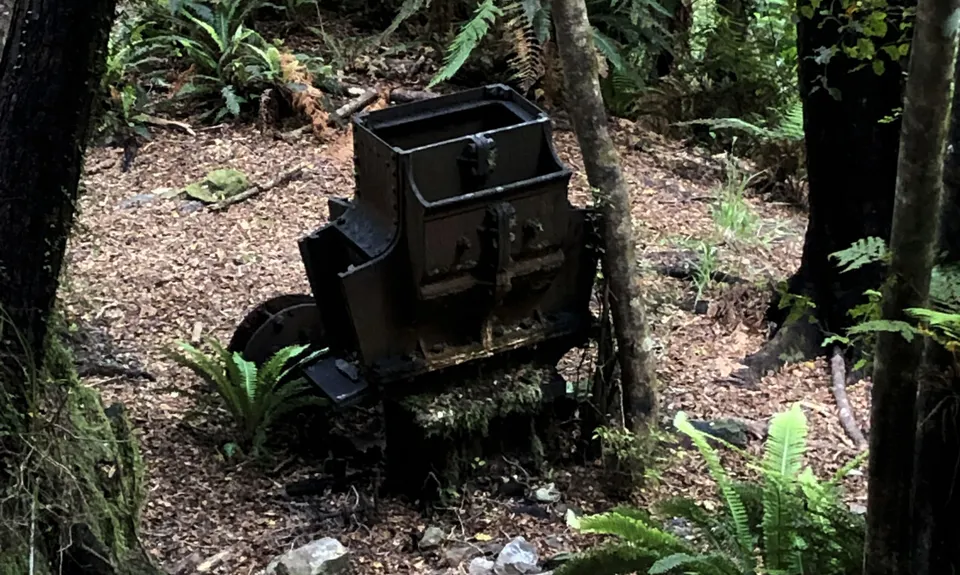 Old Ghost Road - Stern Valley to Seddonville, West Coast