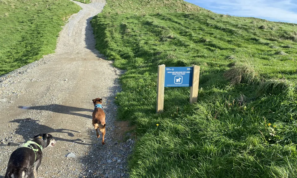Māra Roa and Waihora, Wellington