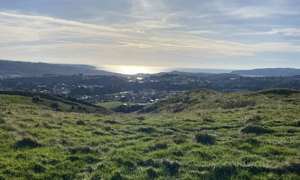 Māra Roa and Waihora, Wellington