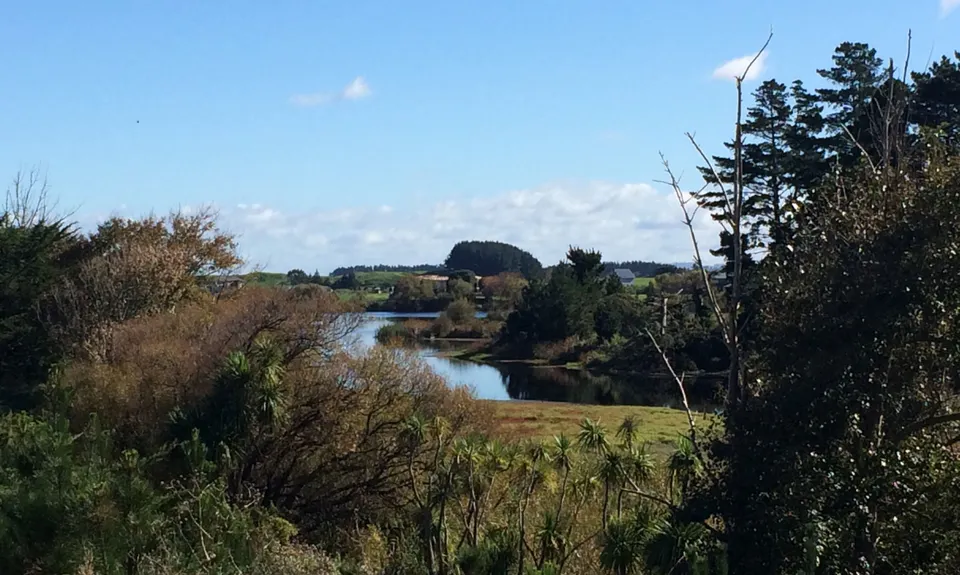 Araheke MTB park, Manawatu - Wanganui