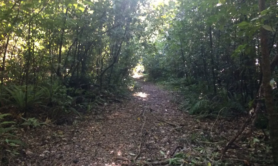 Yeoman's Track, Hawkes Bay