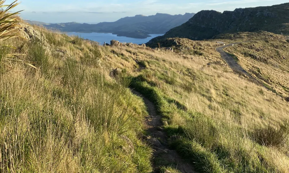 Christchurch 360 Trail - Sugarloaf Hills Section, Canterbury