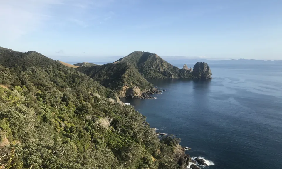 Top of the Coromandel, Waikato