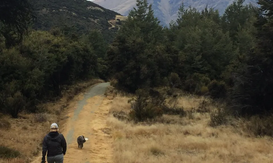 Mt. Crichton Loop, Otago