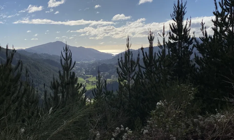 Sharlands-Central Road Loop, Nelson