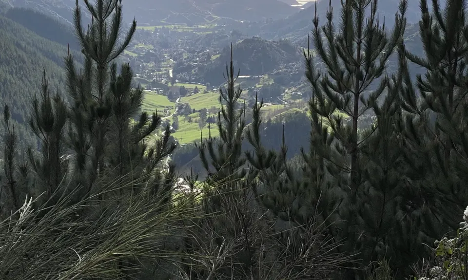 Sharlands-Central Road Loop, Nelson