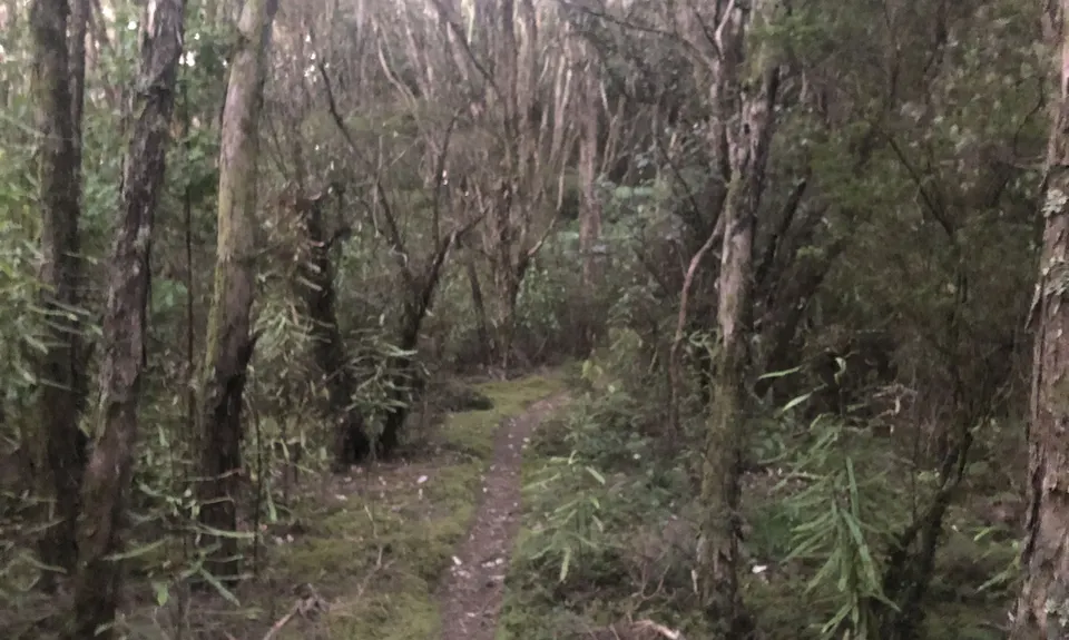 Okataina...Eastern & Western, Bay of Plenty