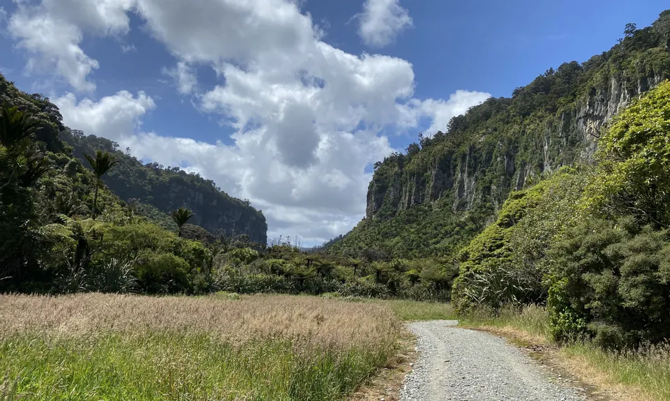 Porarari to Cave Creek, West Coast