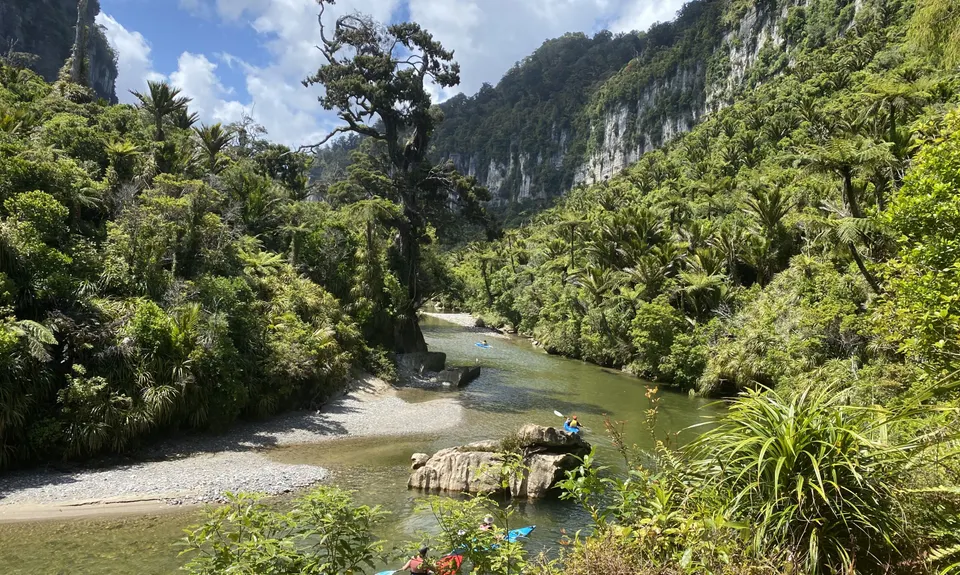 Porarari to Cave Creek, West Coast