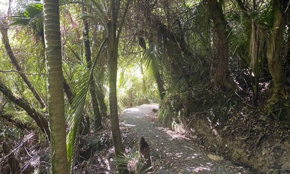 Porarari to Cave Creek, West Coast