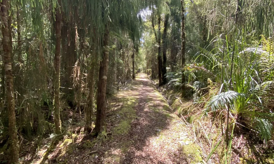Porarari to Cave Creek, West Coast