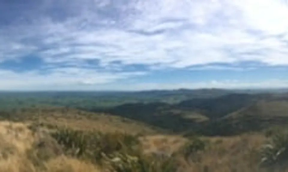 Croydon Bush - Richardson loop, Southland