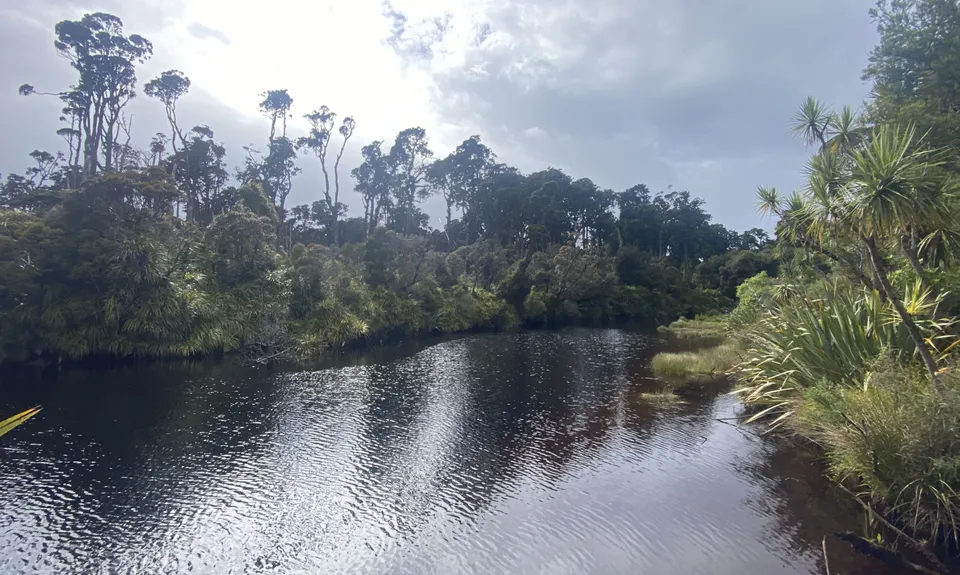 Right up Ship Creek, West Coast