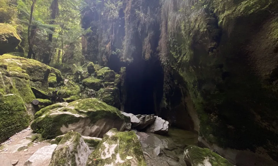 Porarari to Cave Creek, West Coast