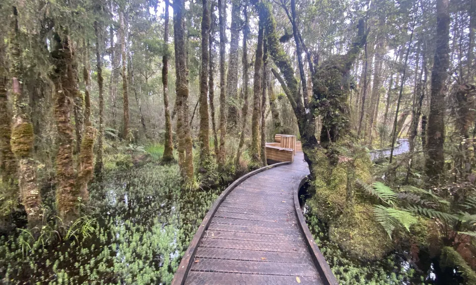 Right up Ship Creek, West Coast
