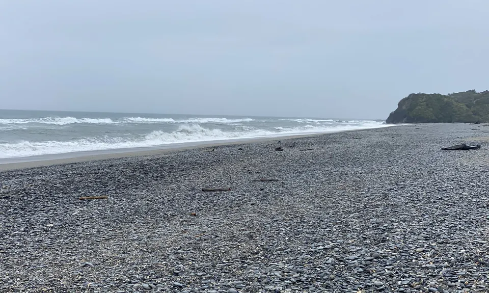 Right up Ship Creek, West Coast